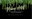 Makeup Artist Tanya Golden logo